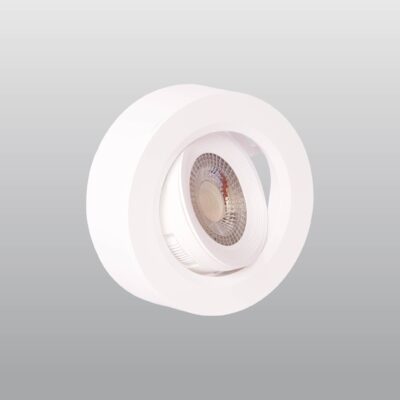 ACK Sıva Üstü CCT LED Spot Armatür