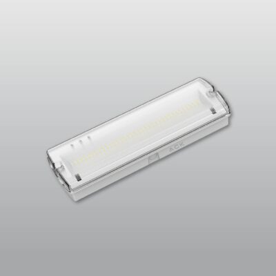 ACK Pro Series LED Işıldak